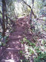 steps up to blue ridge