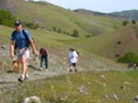 hiking up craig canyon