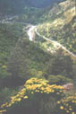 view of highway 16 from the trail