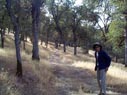 hiking through the oaks