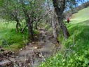 creek next to Long Canyon