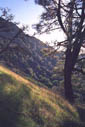 steep hike up the ridge